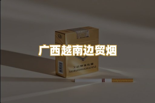 广西越南边贸烟